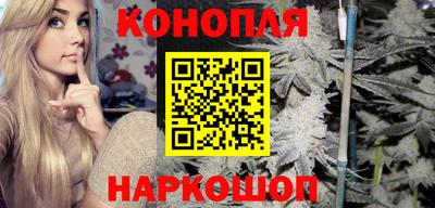кокс Кингисепп