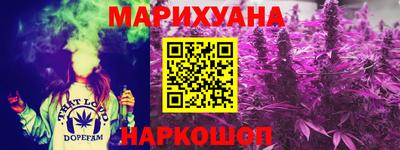 кокс Кингисепп